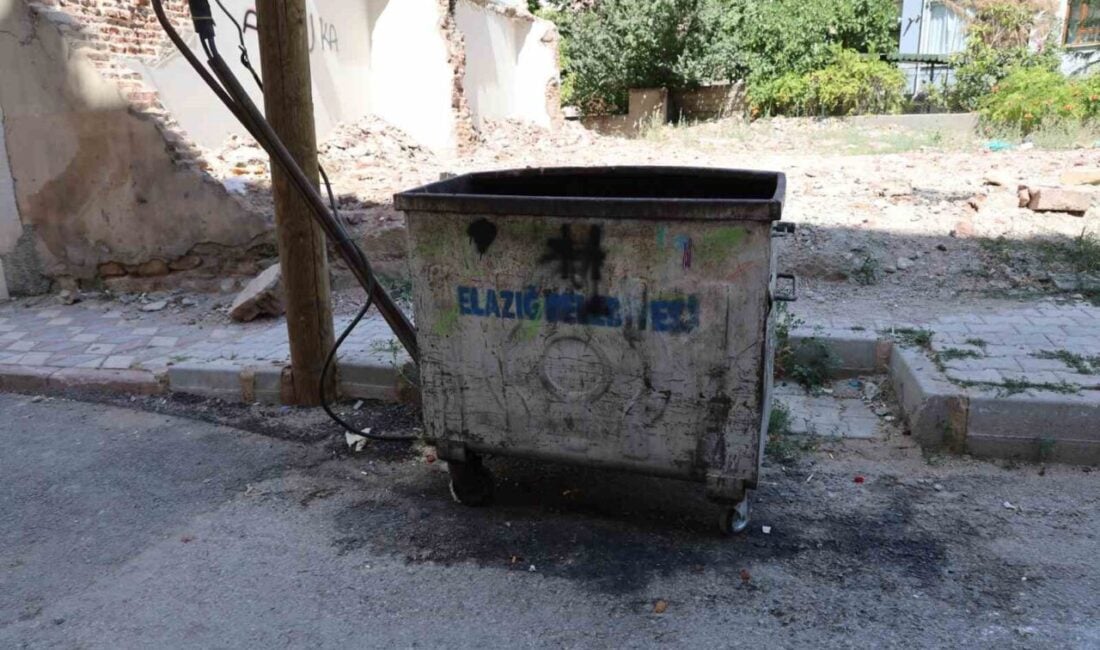 Elazığ'da evde doğum yapan yabancı uyruklu bir kadın, yeni doğan