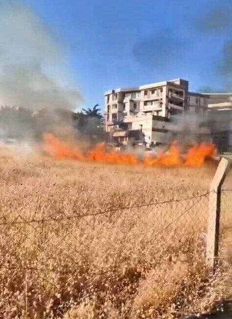 Elazığ'ın Ataşehir Mahallesi'nde otluk alanda çıkan yangın, itfaiye ekiplerinin hızlı