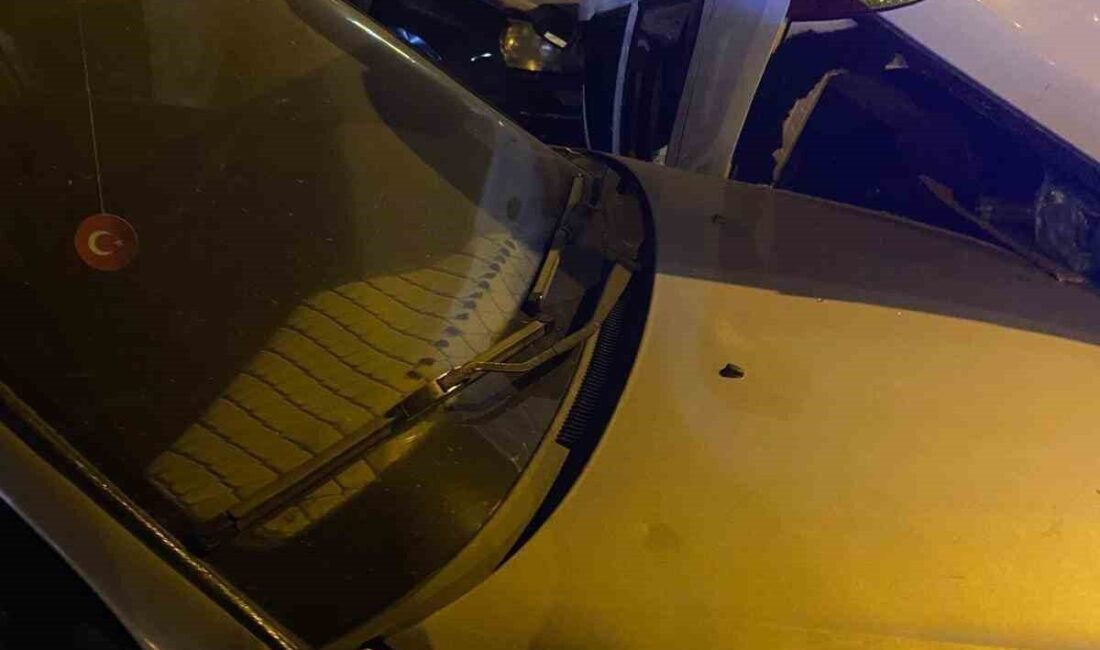Elazığ'ın Doğukent Mahallesi'nde bir otomobil, sürücüsünün direksiyon hakimiyetini kaybetmesi sonucu