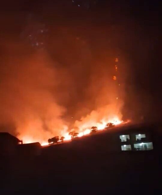 Elazığ'ın Sivrice ilçesindeki Güney köyünde meydana gelen örtü yangını, itfaiye