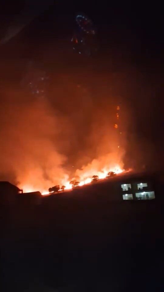 Elazığ'ın Sivrice ilçesindeki Güney köyünde meydana gelen örtü yangını, itfaiye