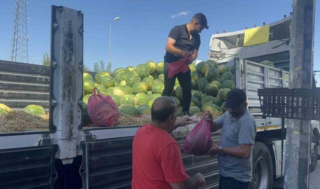 Elazığ'da metro mini hal işletmesi, sahibi Veysel Bozkuş'un öncülüğünde, 30