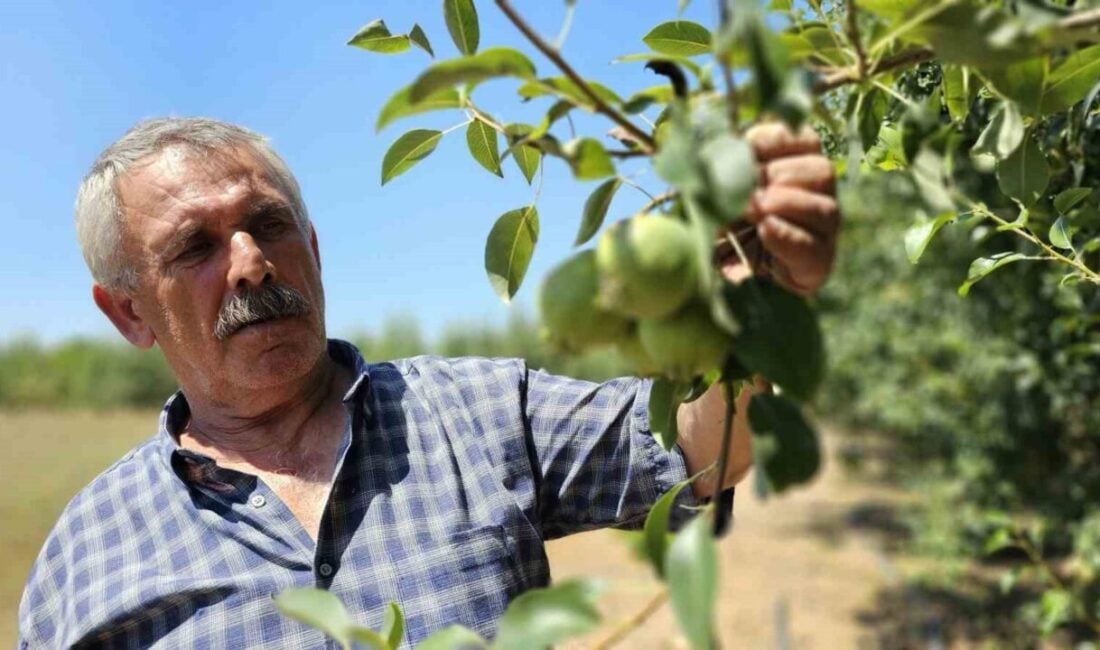 Zonguldak'ta emekli madenci 66 yaşındaki Hasan Girgin, beş yıl süren
