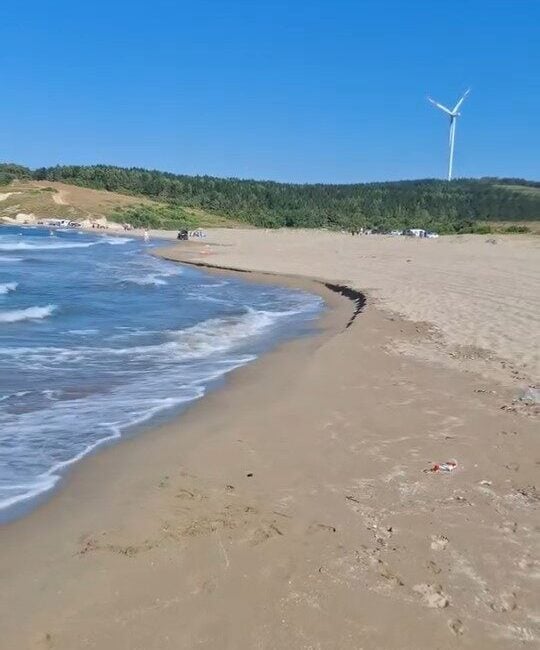 Kocaeli'nin Kandıra ilçesinde, engelli kızı Rana Akın'ı kurtarmak için denize
