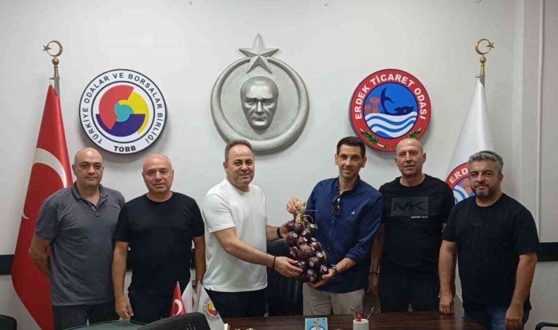 Erdek'te Kapıdağ mor soğanı, bu yıl ilk hasatla önemli bir