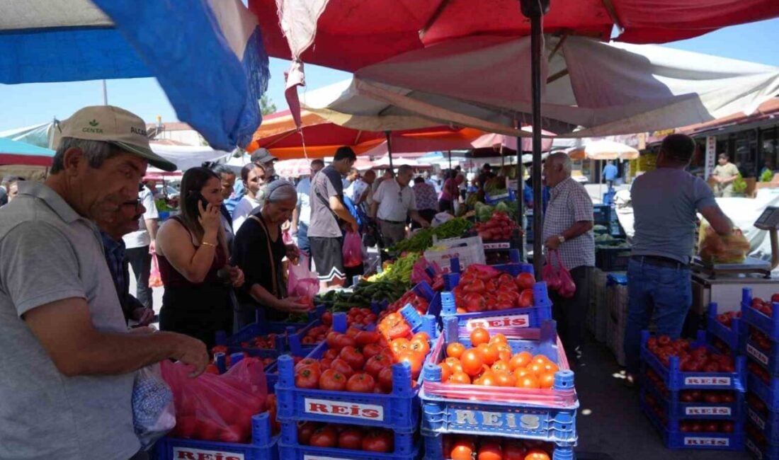 Erzincan, Doğu Anadolu'nun sebze ihtiyacını karşılamak amacıyla domates üretimine devam