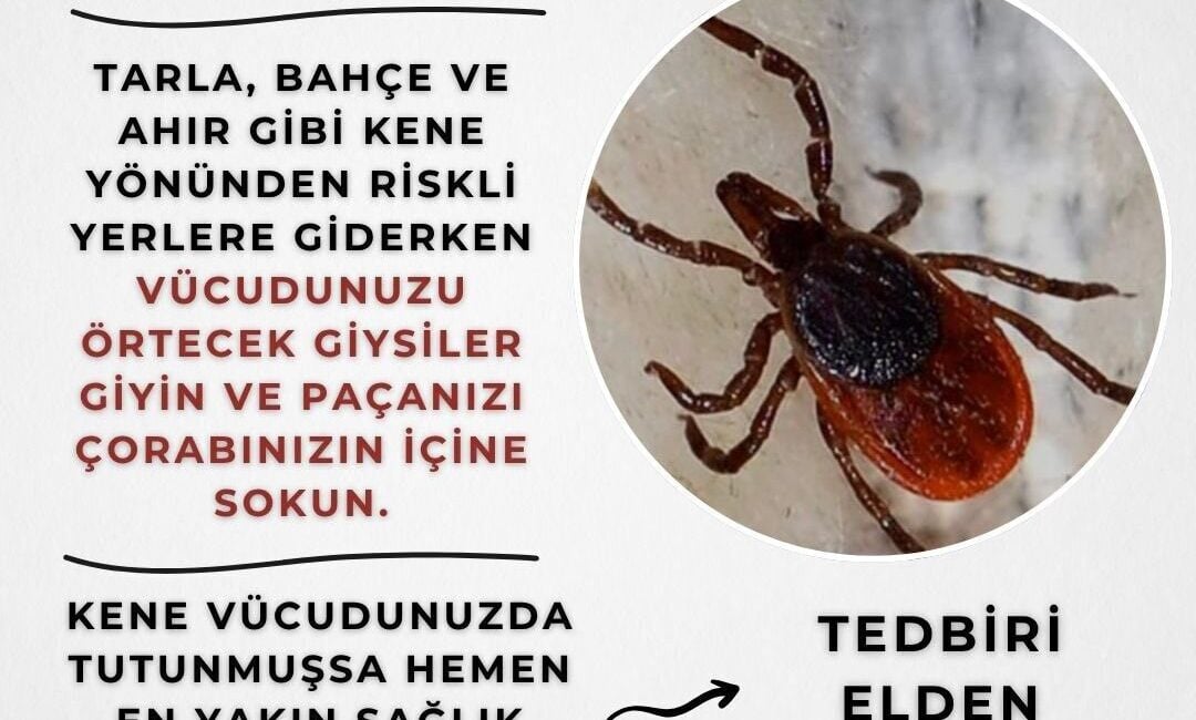 Eskişehir Valiliği, yaz aylarında artan kene riski nedeniyle vatandaşları uyardı.