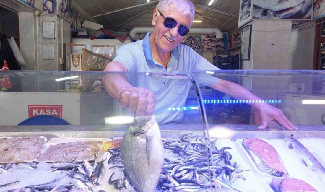Eskişehir'de balık satıcısı Battal Gazi Coşkun, yaz aylarının sardalya ve