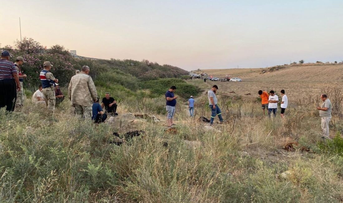 Hatay'ın Erzin ilçesinde, fabrikalardan gelen atık suların akıtıldığı dereden su