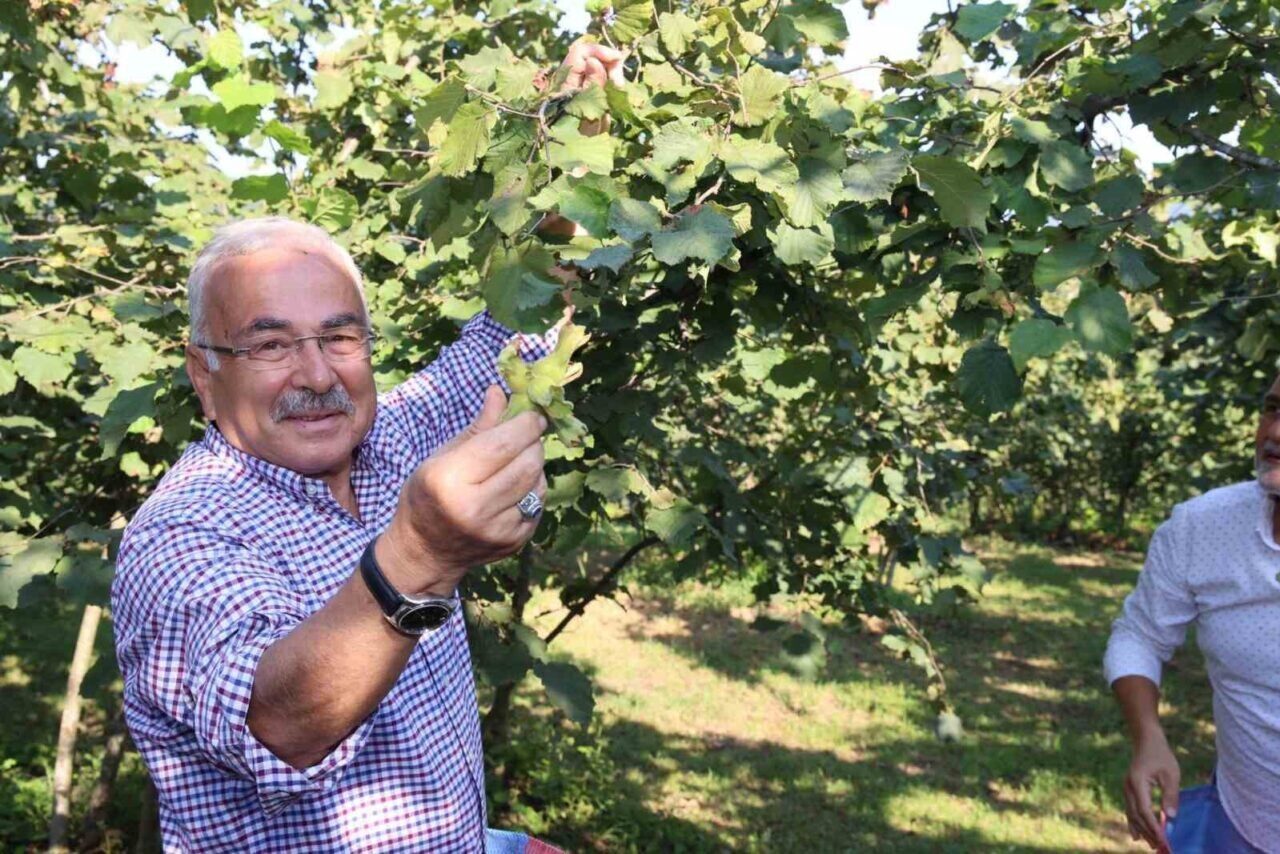 Ankara 15. İdare Mahkemesi, Ordu Büyükşehir Belediye Başkanı Dr. Mehmet
