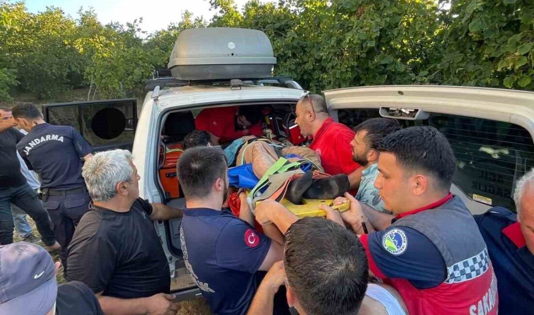 Sakarya’nın Karasu ilçesinde Hasan A., fındık tarlasında çalışırken dengesini kaybedip