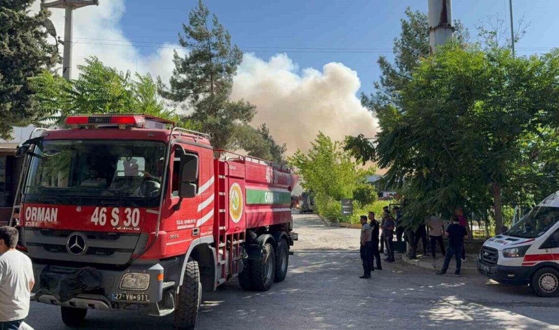 Gaziantep'teki Yakamoz Halı Fabrikası'nda, henüz nedeni belirlenemeyen bir yangın çıktı.