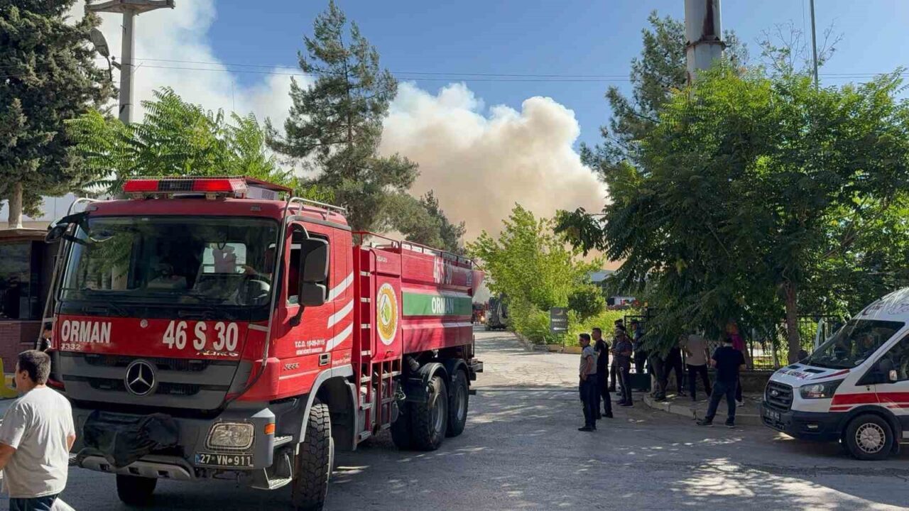 Gaziantep'teki Yakamoz Halı Fabrikası'nda, henüz nedeni belirlenemeyen bir yangın çıktı.