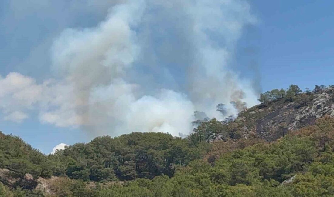 Antalya'nın Gazipaşa ilçesindeki Karadağ Mevkii'nde çıkan yeni orman yangınına, itfaiye