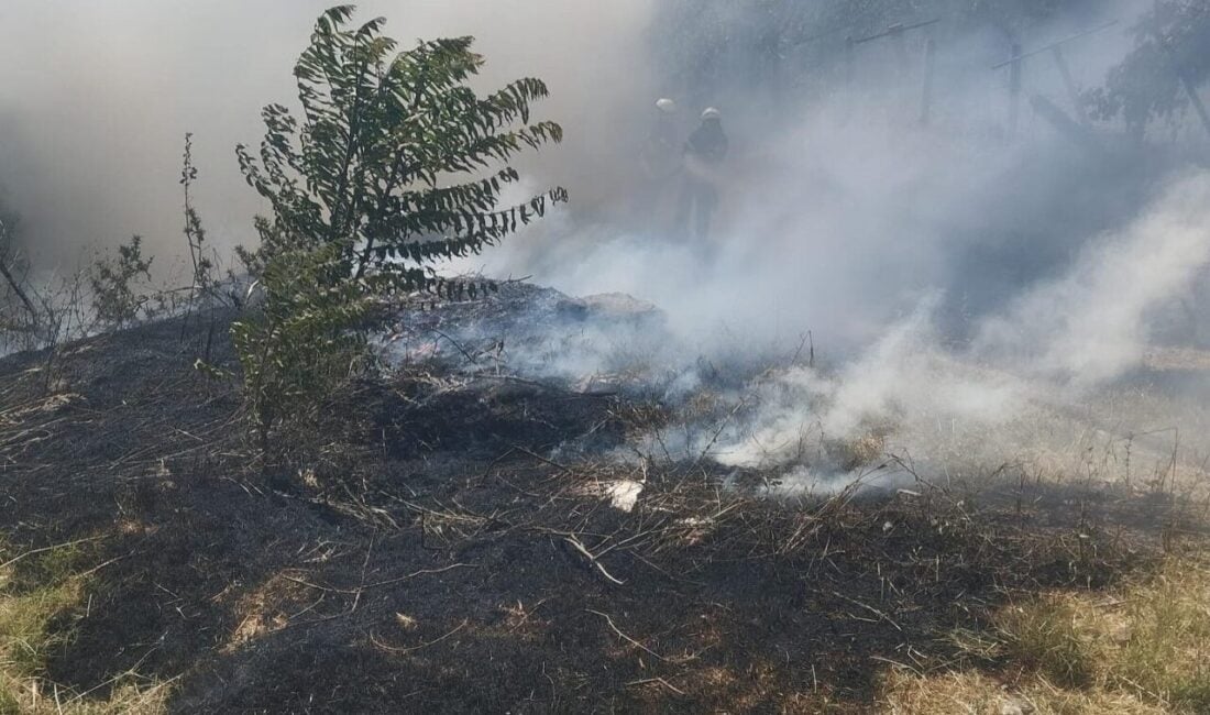Kütahya'nın Gediz ilçesinde, Muhipler Mahallesi'ndeki bir elektrik trafosunun yanında çıkan