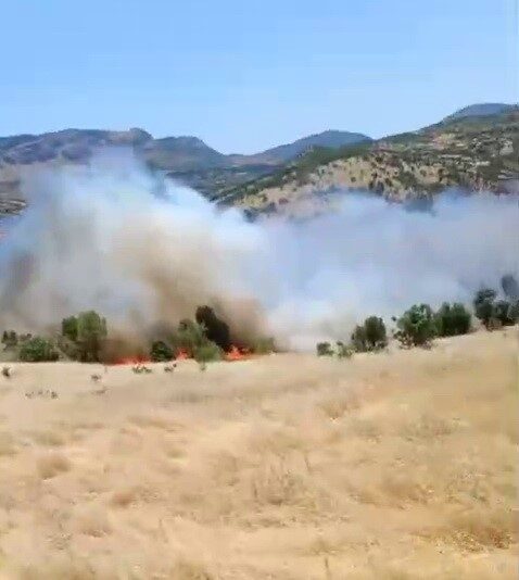 Adıyaman'ın Gerger ilçesine bağlı Gündoğdu Köyü kırsalında çıkan orman yangını,