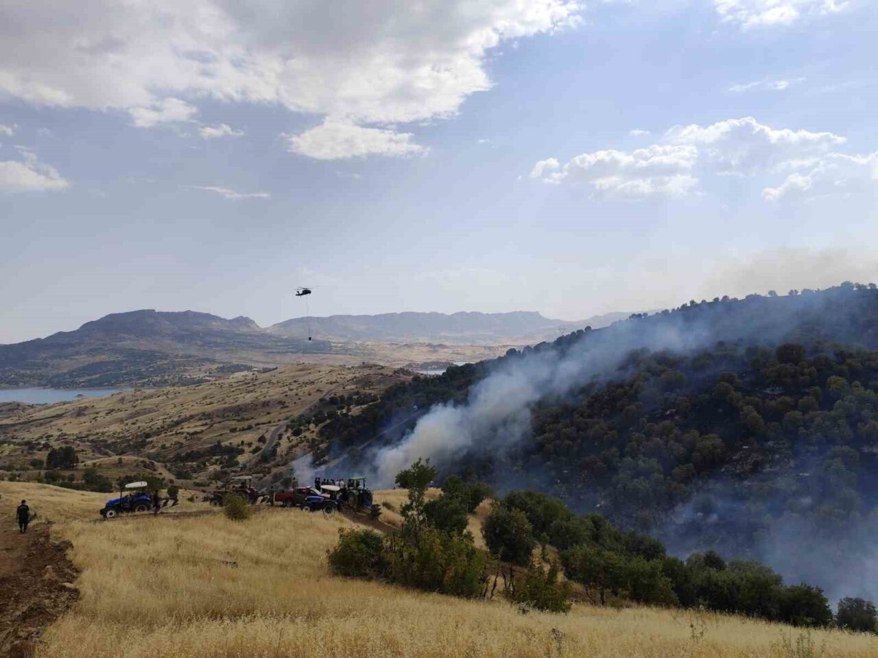 Adıyaman'ın Gerger ilçesindeki Keleşan Mahallesi'nde sabah saatlerinde başlayan orman yangını,