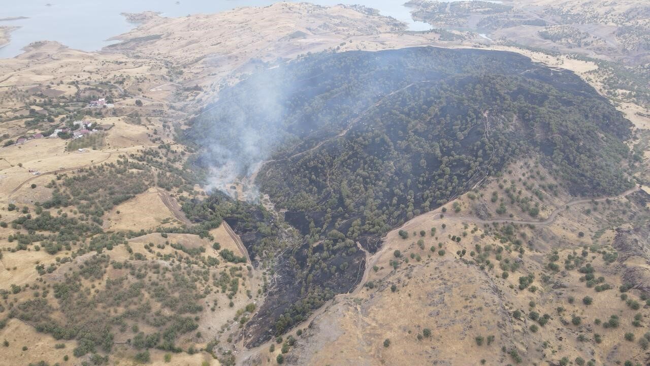 Adıyaman’ın Gerger ilçesinde meydana gelen orman yangını, rüzgarın etkisiyle zorluklar