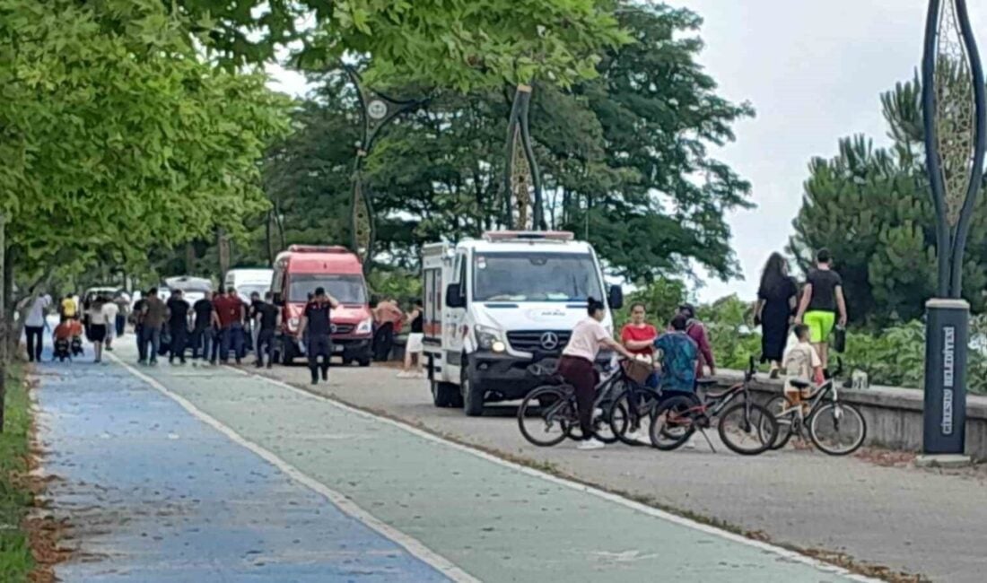 Giresun'un Teyyaredüzü Mahallesi'nde denize giren 40 yaşındaki Üzeyir Elmalı, boğulma