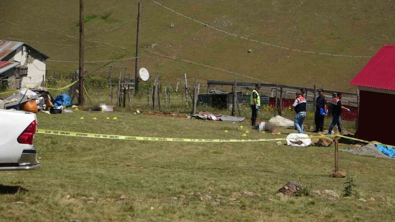 Giresun'un Kümbet Yaylası'nda iki aile arasında mera anlaşmazlığı nedeniyle çıkan