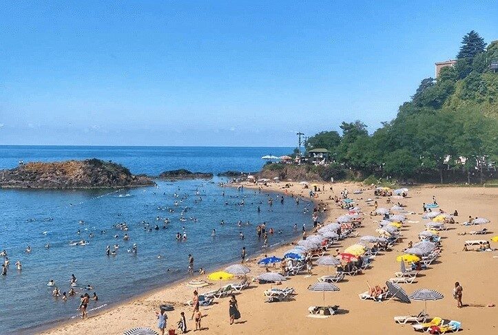 Giresun'da 21 Temmuz 2025 tarihinde alınan deniz suyu numuneleri, 23