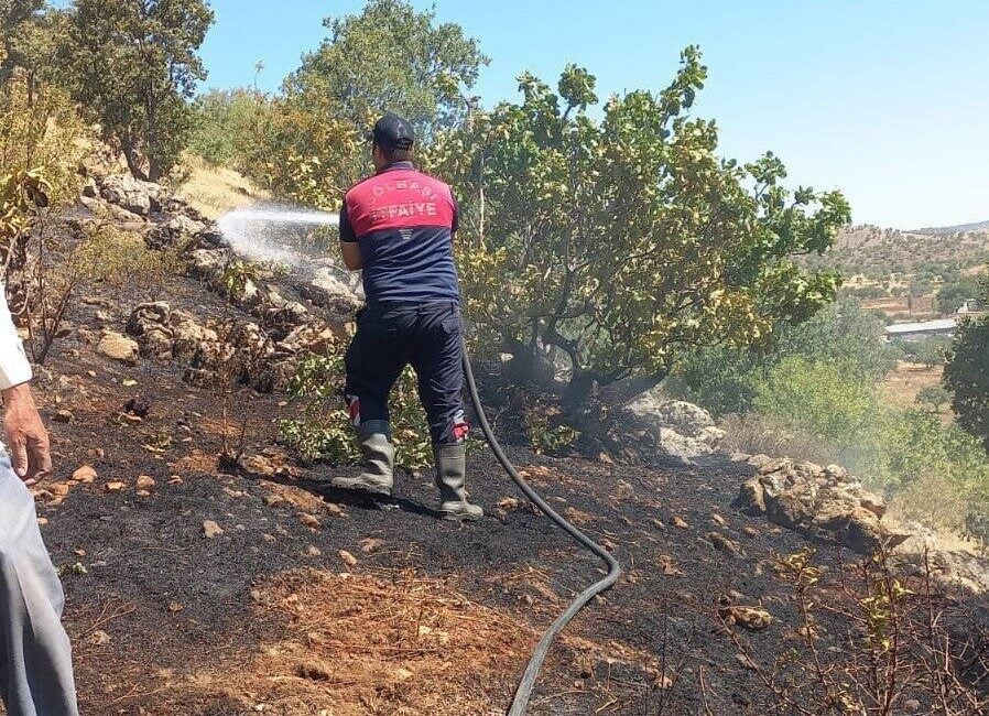 Adıyaman’ın Gölbaşı ilçesi Harmanlı Beldesi'nde ormanlık alanda çıkan yangın, köylülerin
