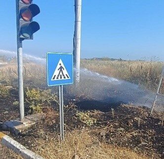 Balıkesir’in Gönen ilçesindeki hastane kavşağında oluşan ot yangını, itfaiye ekiplerinin
