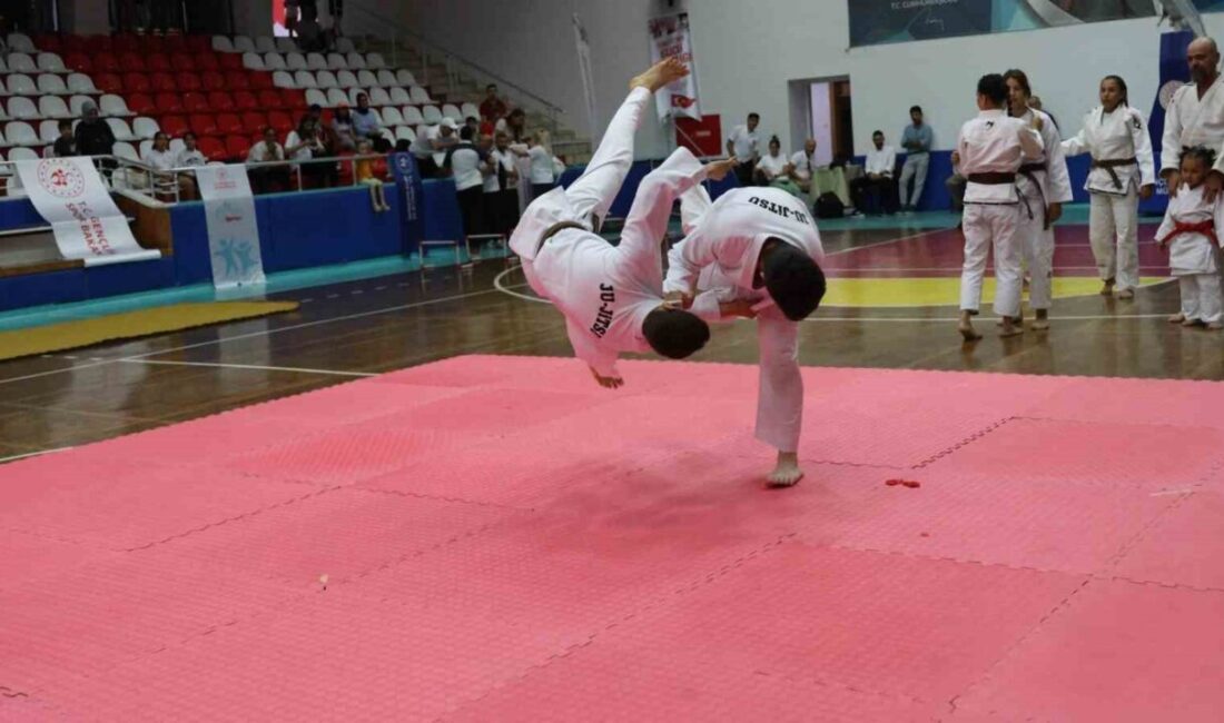 Aydın'da, Gençlik ve Spor Bakanlığı'nın düzenlediği Spor Okulları ve Engelsiz