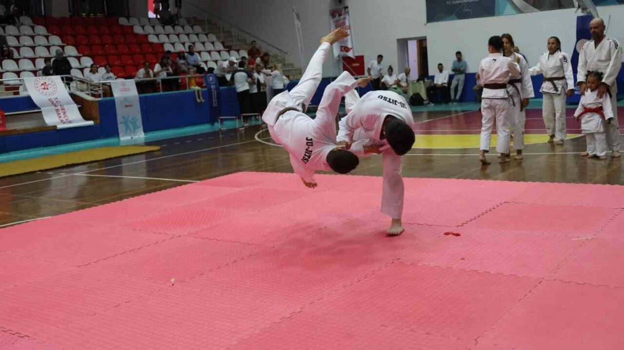 Aydın'da, Gençlik ve Spor Bakanlığı'nın düzenlediği Spor Okulları ve Engelsiz