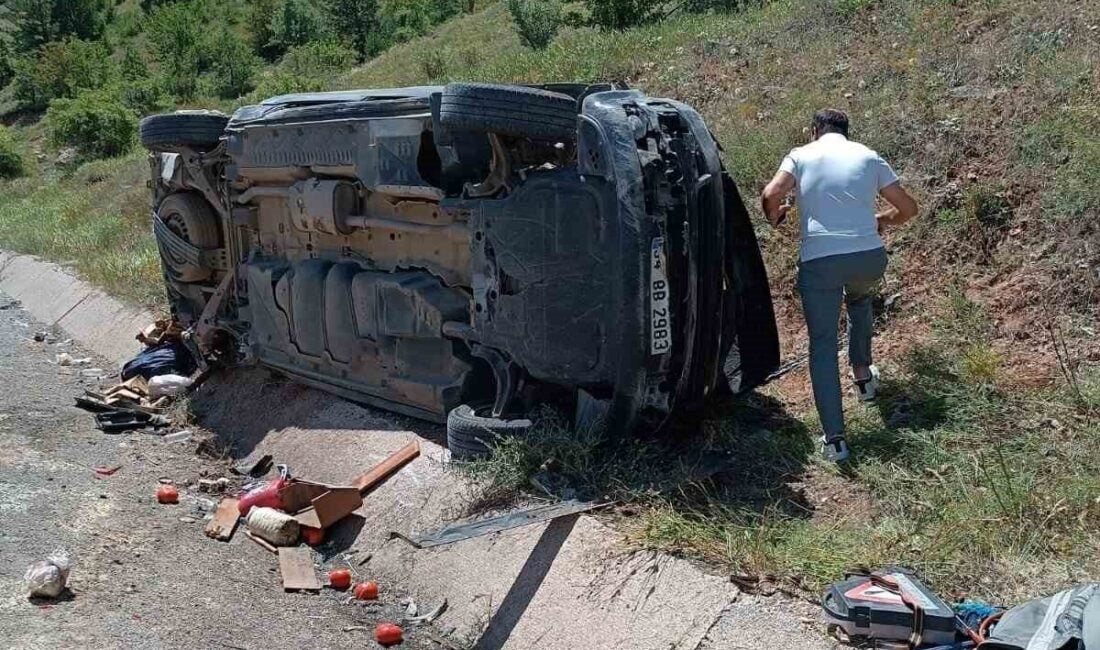 Gümüşhane'de Dursun K. (67) yönetimindeki hafif ticari araç, menfeze çarpıp
