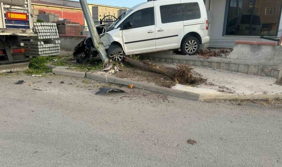 Çorum'un Alaca ilçesinde M.Y. yönetimindeki hafif ticari araç, direksiyon hakimiyetinin