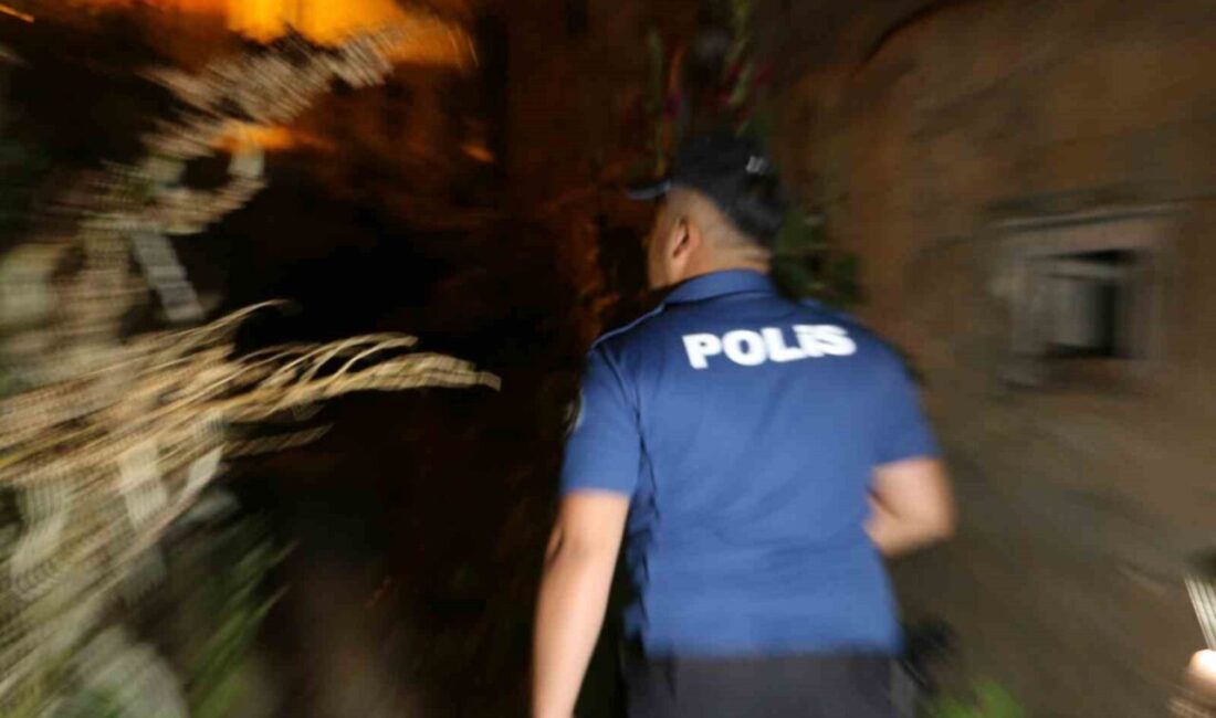 Hakkari'de polis, asayiş uygulaması kapsamında ormanlık alanlar ve metruk evlerde
