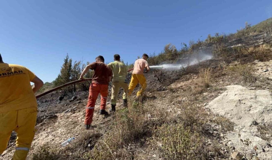 Hatay'ın İskenderun ilçesinde Aşkarbeyli Mahallesi yakınlarında ormanlık alanda çıkan yangın,