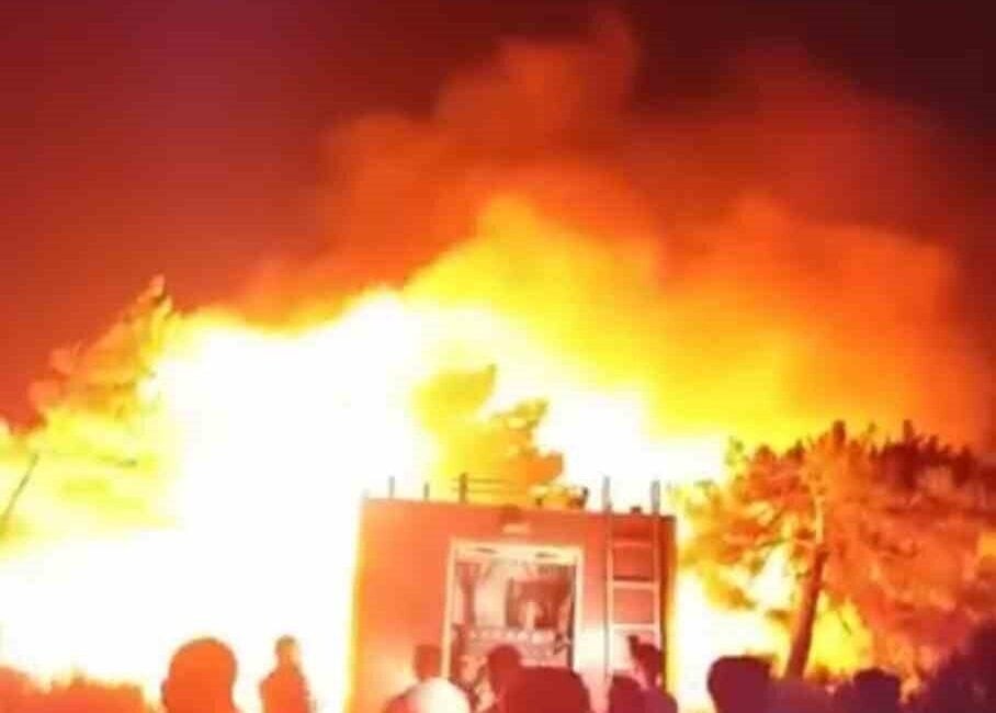 Hatay’ın Samandağ ilçesi Tomruksuyu Mahallesi'nde çıkan orman yangınına itfaiye ekipleri