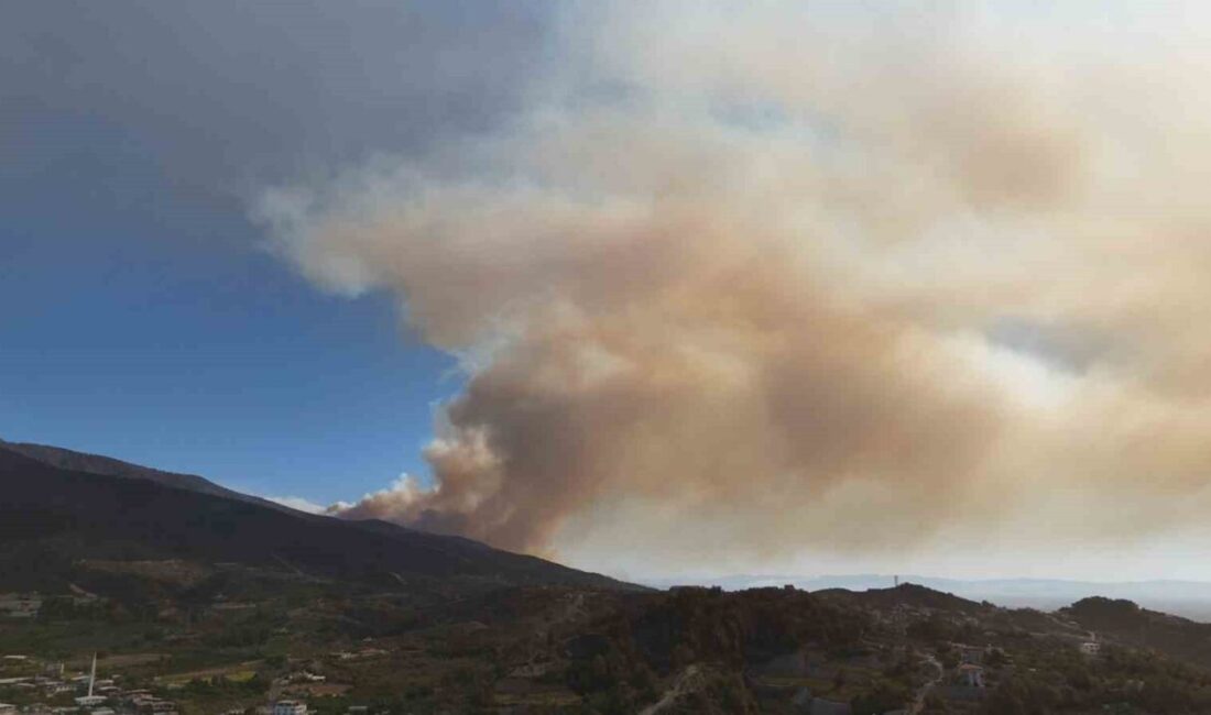 Hatay'da, Antakya'nın Karaali Mahallesi'nde ormanlık alanda çıkan yangın, karada ve