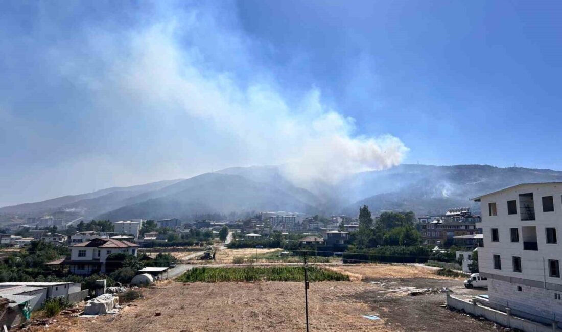 Hatay'ın Antakya ilçesinde 30 saattir süren orman yangınına 16 ilden