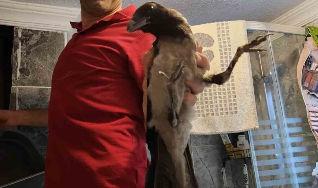 Kastamonu'nun Cide ilçesinde Murat Acar, evinin havalandırma boşluğuna düşen bir