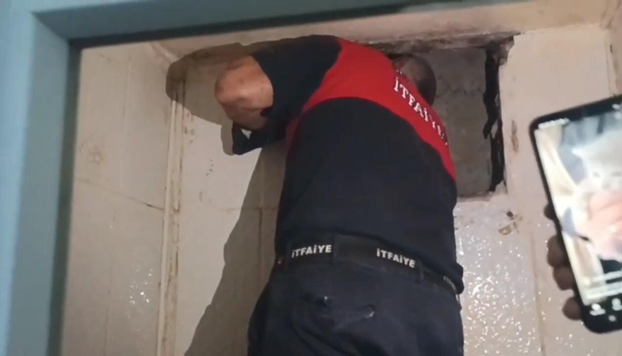 Şanlıurfa'nın Haliliye ilçesinde, havalandırma boşluğuna sıkışan bir yavru kedi, itfaiye