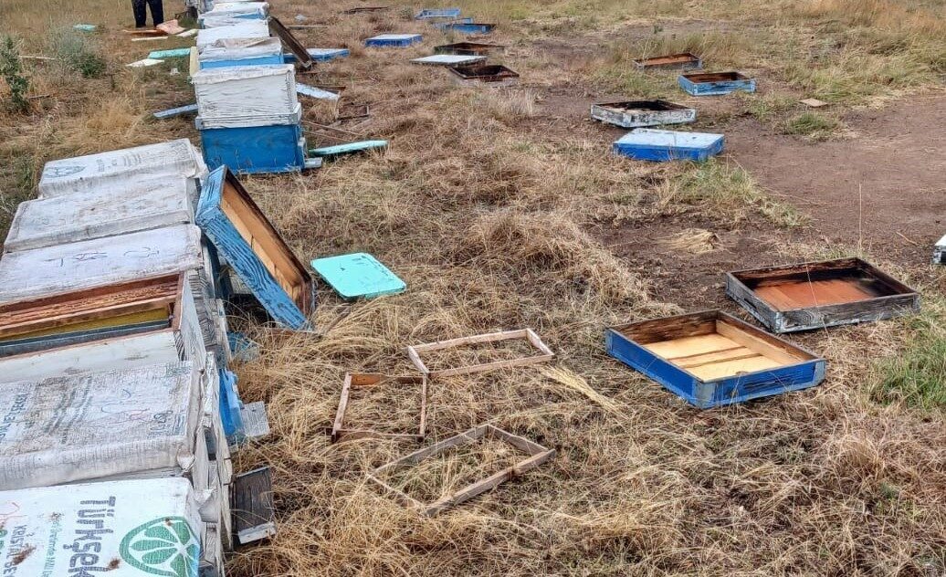 Tekirdağ'ın Hayrabolu ilçesinde meydana gelen hortum, Övenler Mahallesi'nde 163 arı