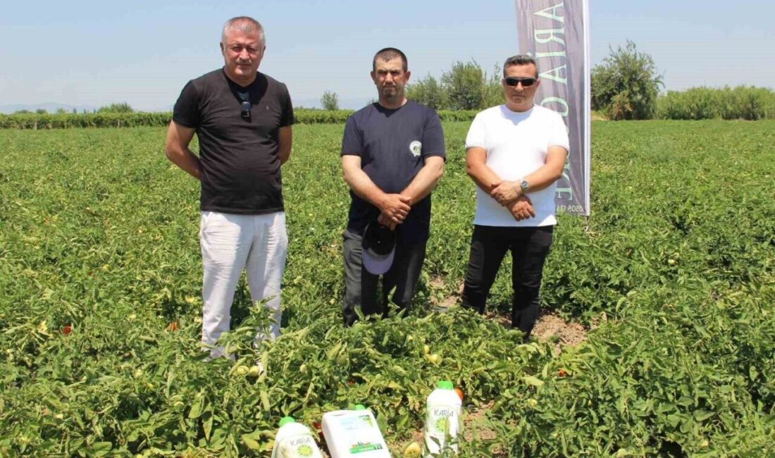 Manisa'daki çiftçiler, zararlı kimyasallar kullanmadan hastalıklarla mücadelede etkili olan yerli