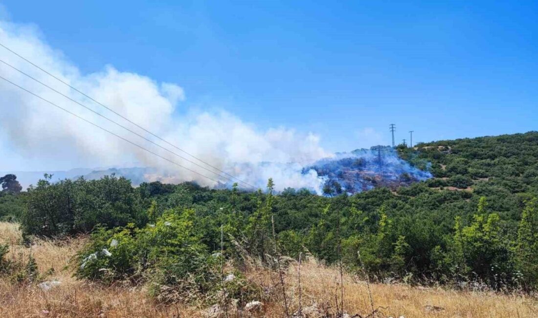 Bursa'nın İnegöl ilçesinde Yeni Yörük Mahallesi'ndeki orman yangını, saat 12.30'da