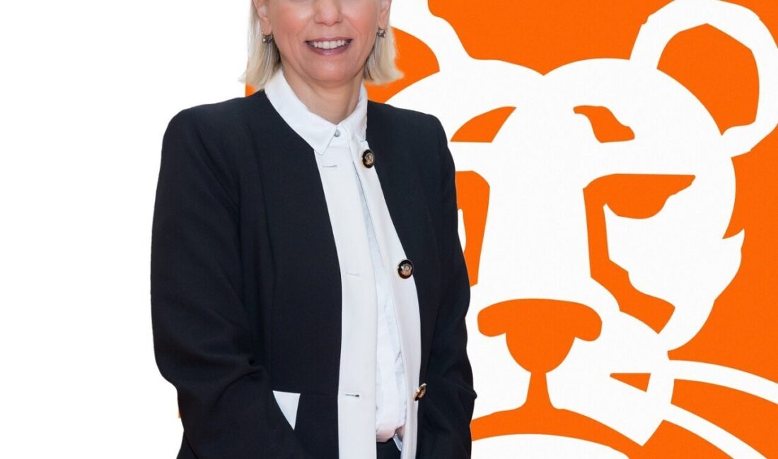 ING Türkiye, Z kuşağına yönelik GNZ – Ak Portföy ING