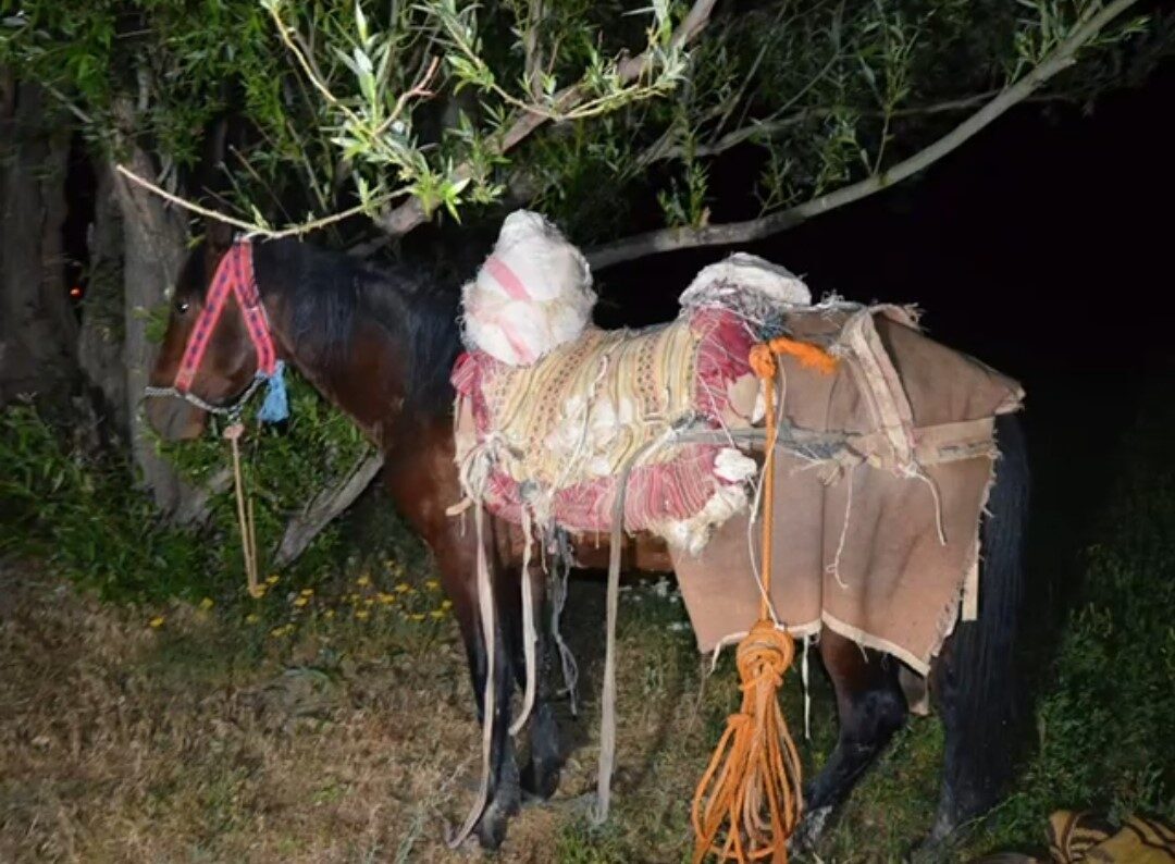 Van'ın Başkale ilçesinde, jandarma ekipleri İran'dan katırla getirilen 97 kilogram