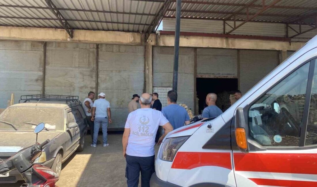 MANİSA’nın Alaşehir ilçesinde 48 yaşındaki marangoz Ahmet Kudret Taylan, sabah