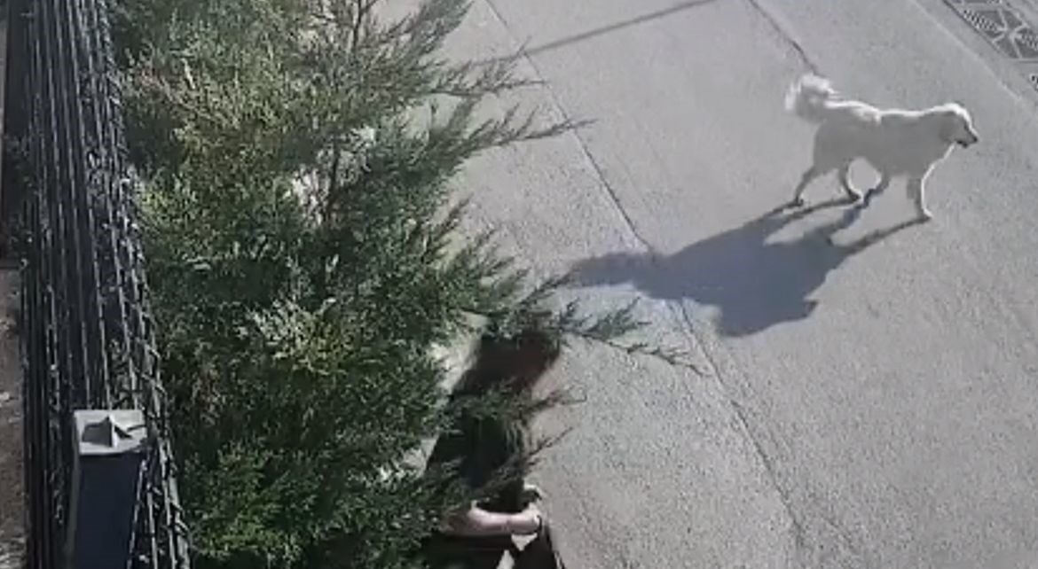 Bursa'nın Nilüfer ilçesinde, 25 yaşındaki güvenlik görevlisi Esra Kuloğlu, sabah