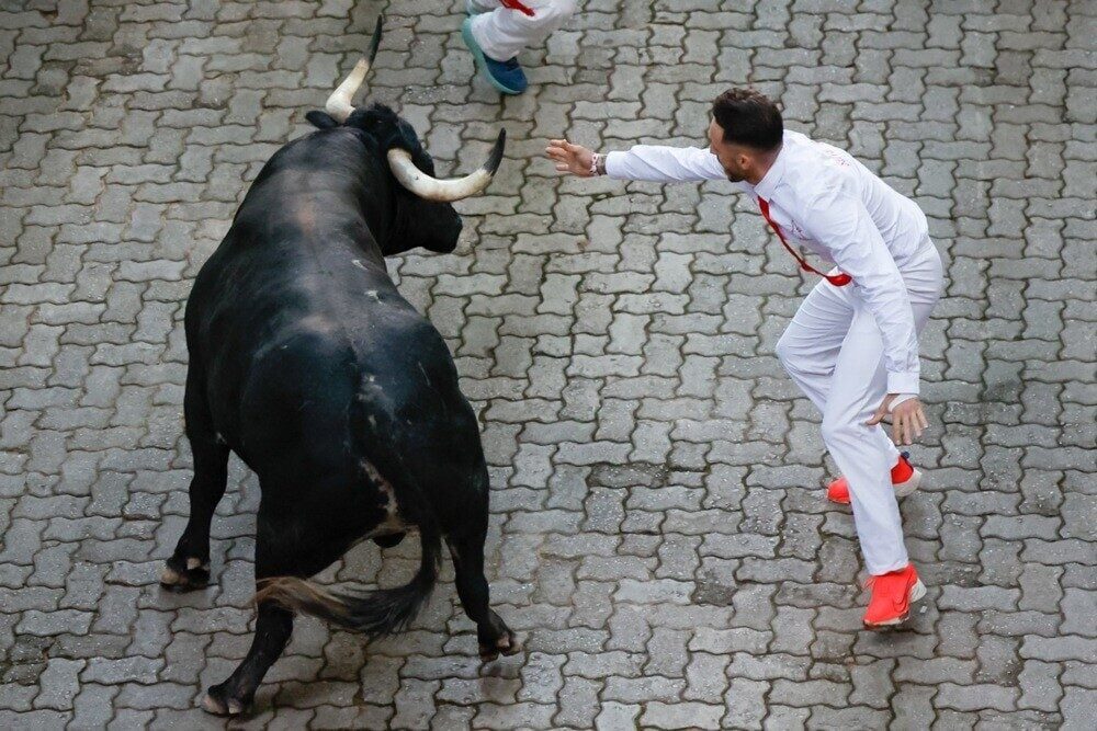 İspanya'nın Pamplona şehrindeki San Fermin festivalinde düzenlenen boğa koşularında, bir
