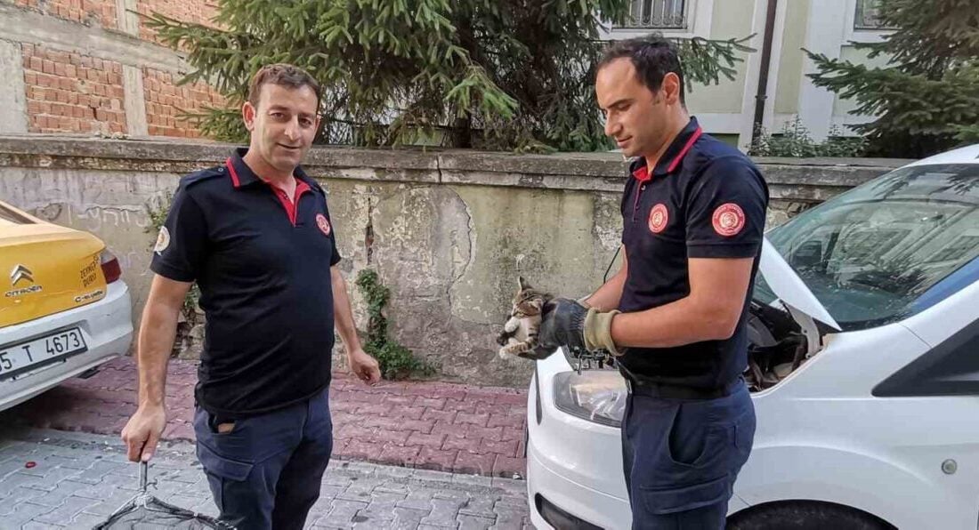 Samsun'un Bafra ilçesinde, bir aracın altına sıkışan yavru kedi itfaiye