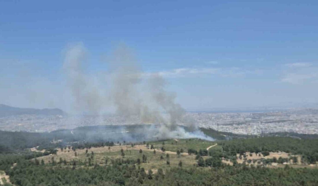 İzmir’de Menderes ve Seferihisar ilçelerinde yangınlarla mücadele devam ederken, Buca