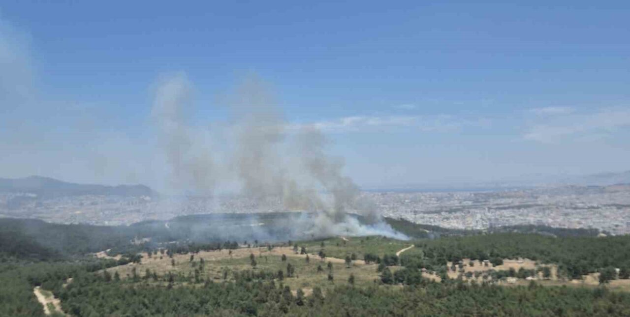 İzmir’de Menderes ve Seferihisar ilçelerinde yangınlarla mücadele devam ederken, Buca