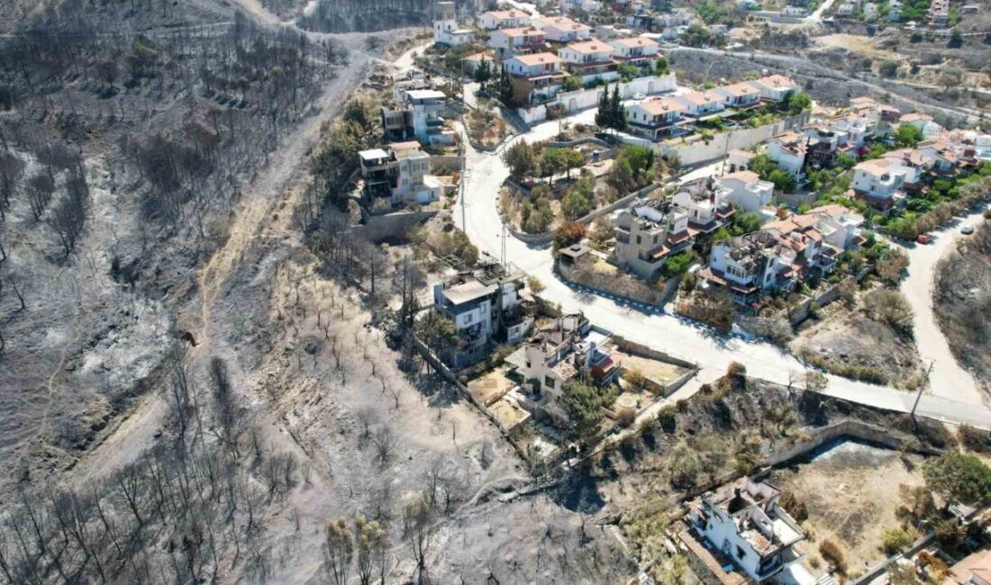İzmir’deki Seferihisar ve Menderes ilçelerinde 29 Haziran’da başlayan yangın, Tarım